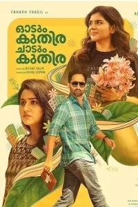 Бегущий Конь, Скачущий Конь в hd качестве