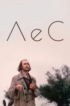 Лес в hd качестве