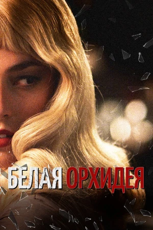 Белая орхидея в hd качестве