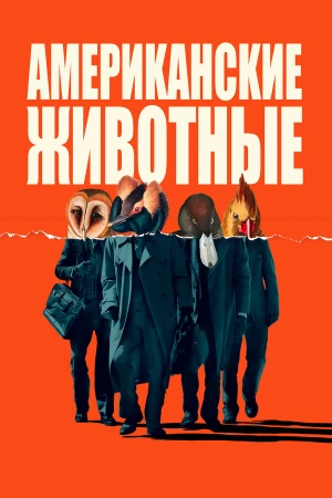 Американские животные в hd качестве