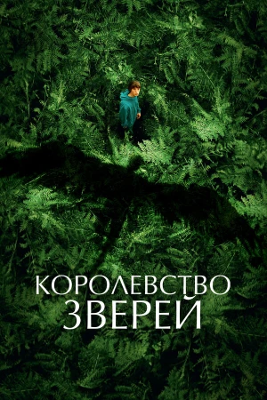 Королевство зверей в hd качестве