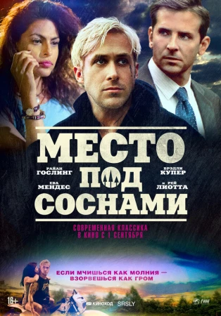 Место под соснами в hd качестве