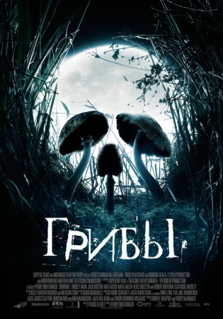 Грибы в hd качестве