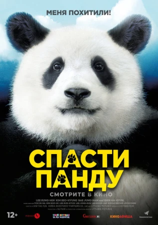 Спасти панду в hd качестве