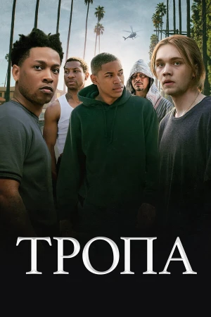 Тропа в hd качестве
