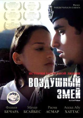 Воздушный змей в hd качестве
