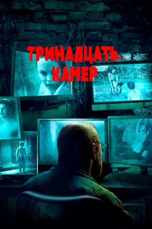 Тринадцать камер в hd качестве