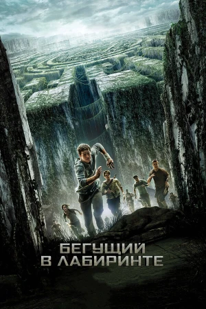 Бегущий в лабиринте в hd качестве