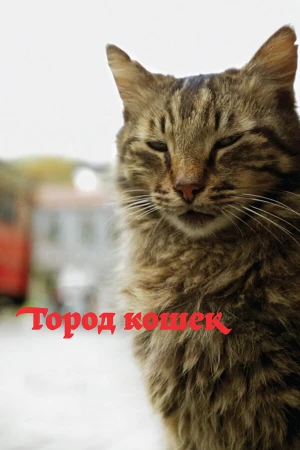 Город кошек в hd качестве