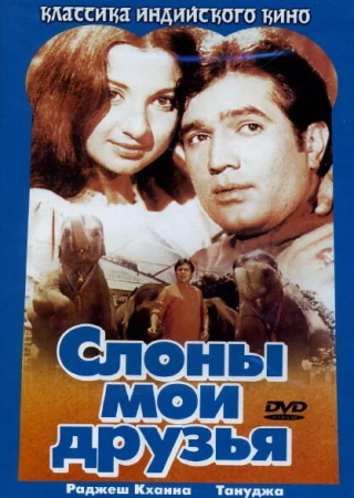 Слоны — мои друзья в hd качестве