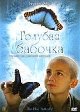Голубая бабочка в hd качестве