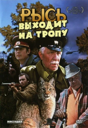 Рысь выходит на тропу в hd качестве