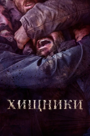 Животные в hd качестве