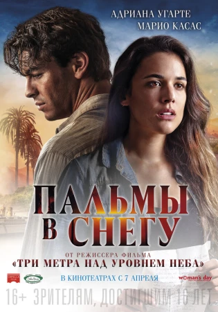 Пальмы в снегу в hd качестве