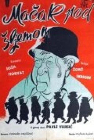 Кот под шлемом в hd качестве