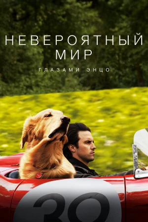Невероятный мир глазами Энцо в hd качестве
