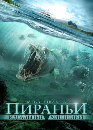 Пираньи: Идеальные хищники в hd качестве