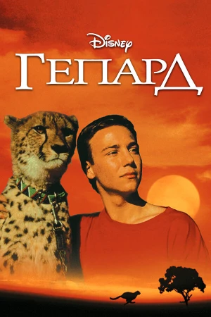 Гепард в hd качестве
