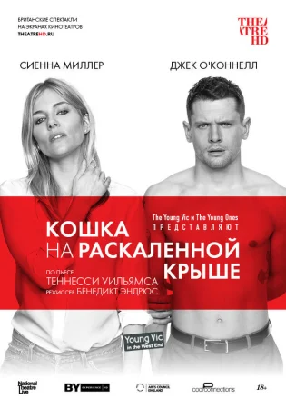 Кошка на раскалённой крыше в hd качестве