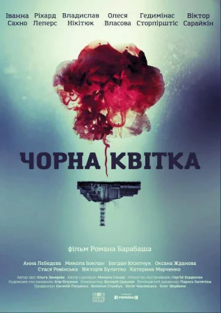 Черный цветок в hd качестве