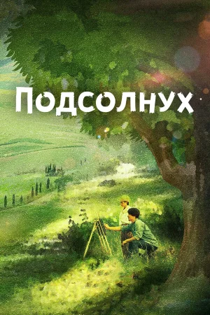 Подсолнух в hd качестве