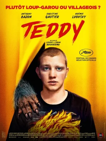 Тедди в hd качестве