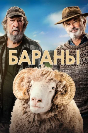 Бараны в hd качестве