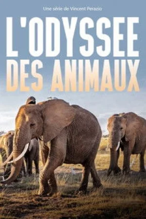Одиссея животных в hd качестве
