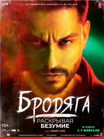 Бродяга: Раскрывая безумие в hd качестве