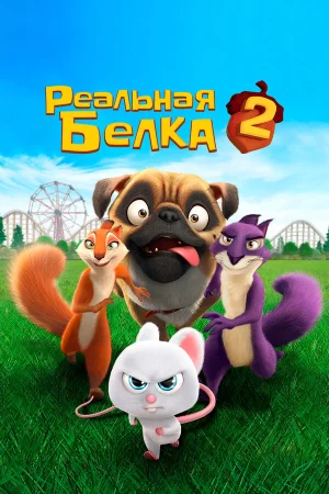Реальная белка 2 в hd качестве