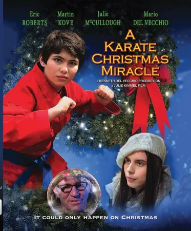 Рождественское чудо в стиле карате в hd качестве